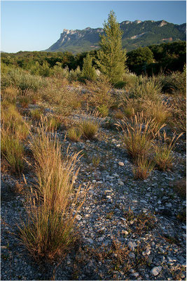 Drôme-Tal