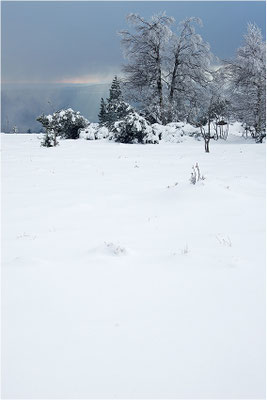 Schliffkopf, Nordschwarzwald, Baden-Württemberg, 01.12.2013