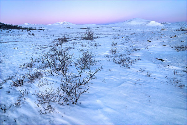 Dovrefjell