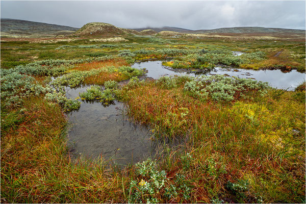 Rondane