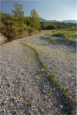 Drôme-Tal