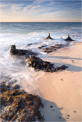 Weststrand, Darß, Mecklenburg-Vorpommern