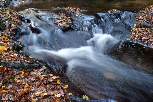 Grobbach, Geroldsau, Baden-Württemberg