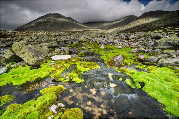 Rondane