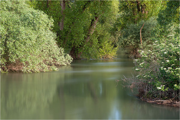 Hochwasser in der Rheinaue, Baden-Württemberg
