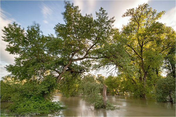 Hochwasser in der Rheinaue, Baden-Württemberg