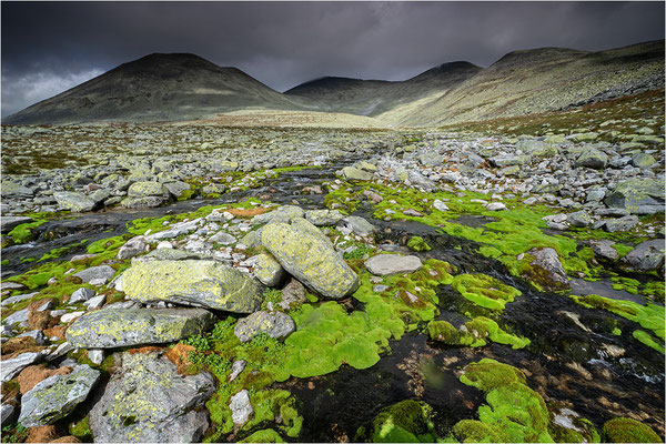 Rondane