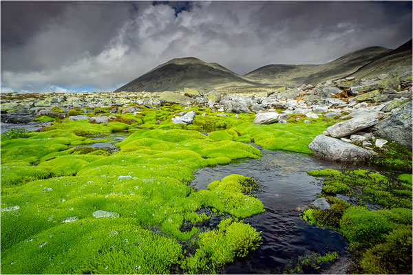 Rondane