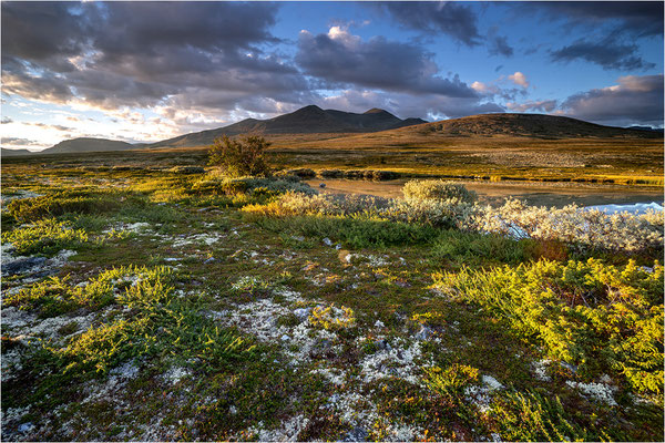 Rondane