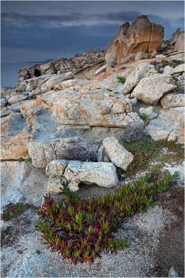 Korsika, Nordküste