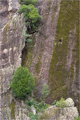 Korsika, Felswand im Nordteil