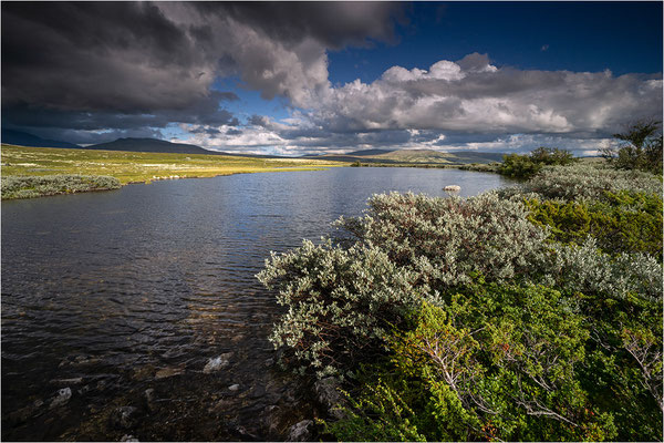 Rondane