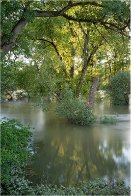 Hochwasser in der Rheinaue, Baden-Württemberg