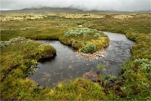 Rondane