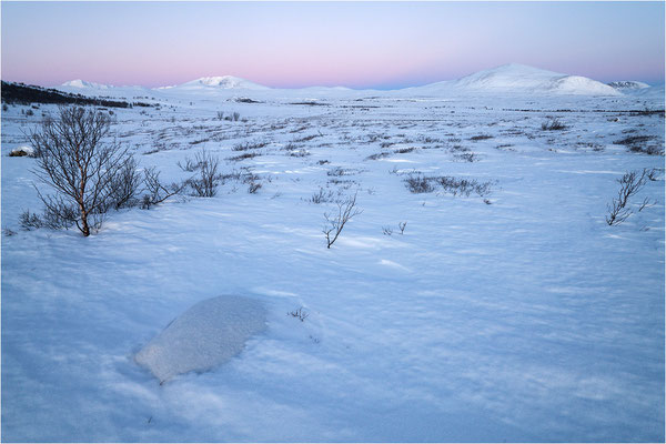 Dovrefjell