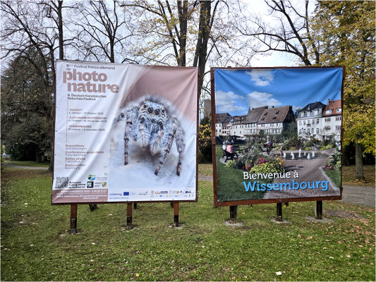 Wissembourg