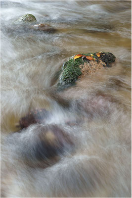 Grobbach, Geroldsau, Baden-Württemberg