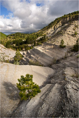 Baronnies