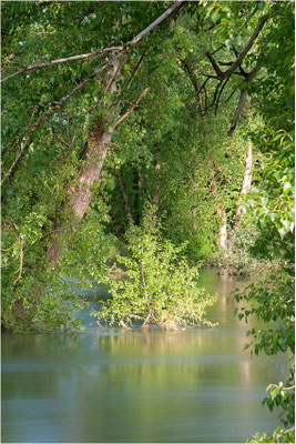 Hochwasser in der Rheinaue, Baden-Württemberg