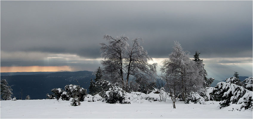 Schliffkopf, Nordschwarzwald, Baden-Württemberg, 01.12.2013