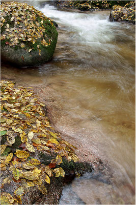 Grobbach, Geroldsau, Baden-Württemberg