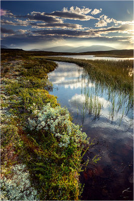 Rondane