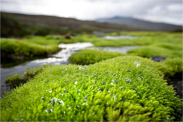 Rondane