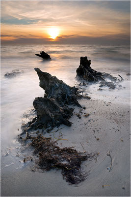 Weststrand, Darß, Mecklenburg-Vorpommern