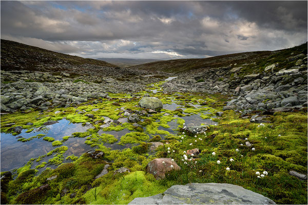 Rondane