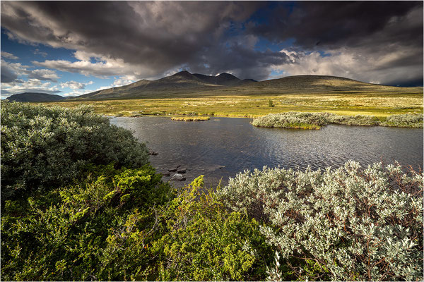Rondane