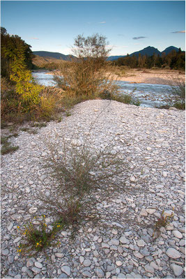 Drôme