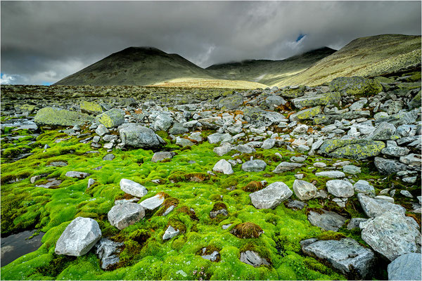 Rondane