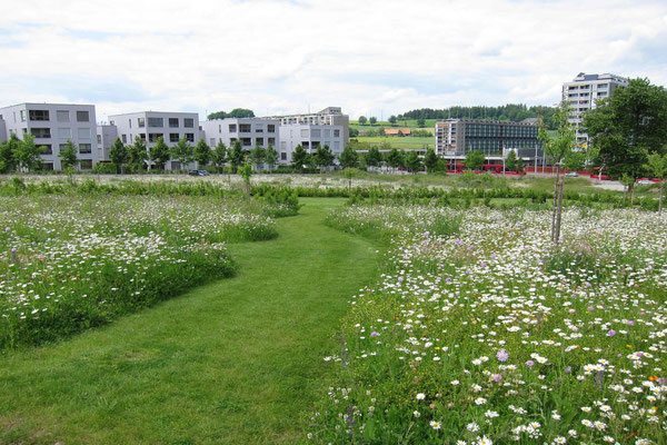 Brünnenpark