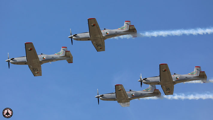 The Silver Swallows  Irish Air Corps Aerobatic Team