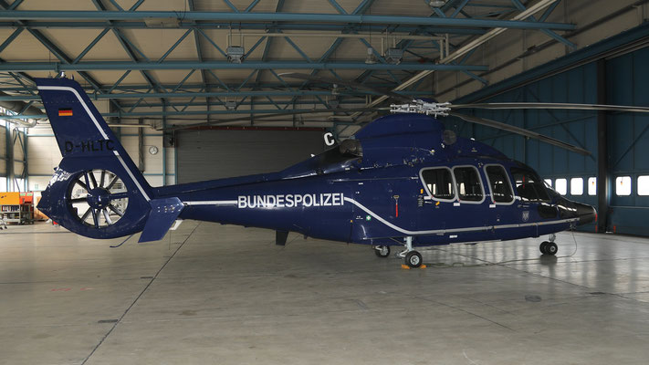 D-HLTC  Bundespolizei Eurocopter EC 155B Dauphin 