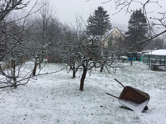 Winterliche Stimmung in einem Garten Am Rebgarten (Dagmar Schülke)