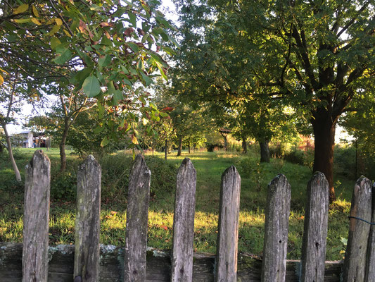 Strukturreicher Garten in Dossenheim (Dagmar Schülke)