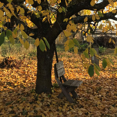 Innehalten und die Natur genießen (Hergen Schultze)