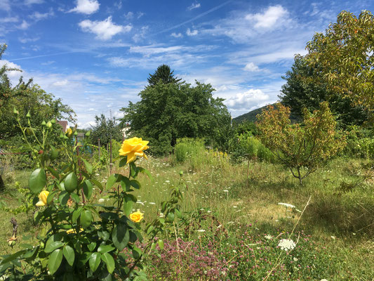 Naturnaher Garten in Dossenheim (Dagmar Schülke)