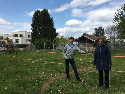 Planung einer Totholzhecke (Dagmar Schülke)