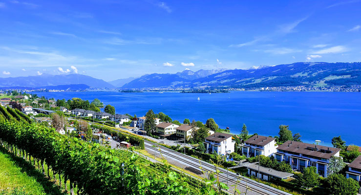 Beautiful View over Lake of Zurich and Swiss Alps (100 m from Office Building)