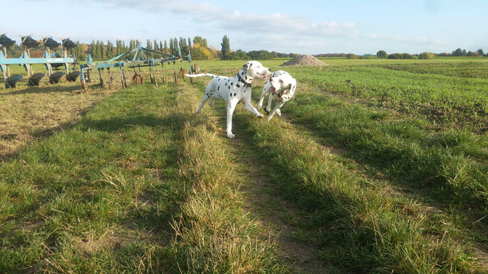 Rosa und Anouk