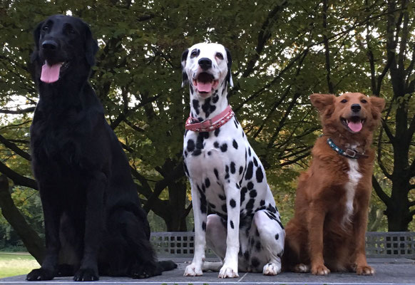 Heidi, Rosa und Mokusch