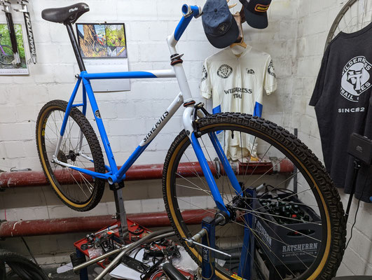 Cross Country Racer 91 Custom - Steelfightsback - Classic