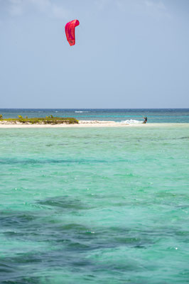 Kit surf no Grand-Cul-de-Sac-Marin  © Aurélien Brusini, 2019, Comité du Tourisme des Îles de la Guadeloupe CTIG 