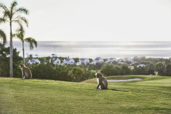 © Four Seasons Resort Nevis, Horan Christian 