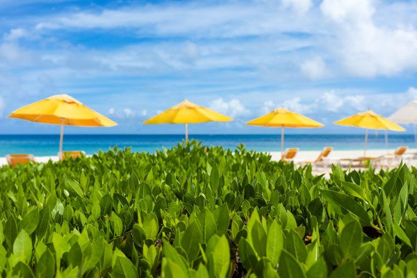 © The Anguilla Tourist Board 