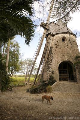 Mühle der Brennerei Damoiseau © Davenport 2014, Comité du Tourisme des Îles de la Guadeloupe CTIG 
