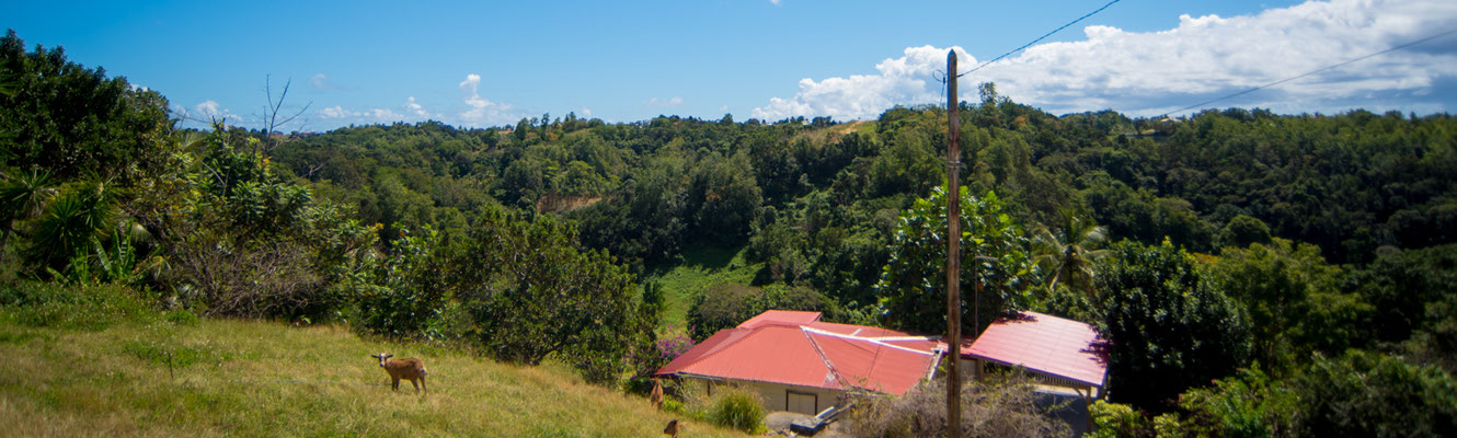 Grands Fonds © Guillaume Aricique, Comité du Tourisme des Îles de la Guadeloupe CTIG