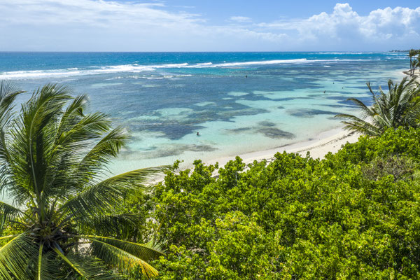 Playa Bois Jolan © Aurélien Brusini, 2021, Comité du Tourisme des Îles de la Guadeloupe CTIG
